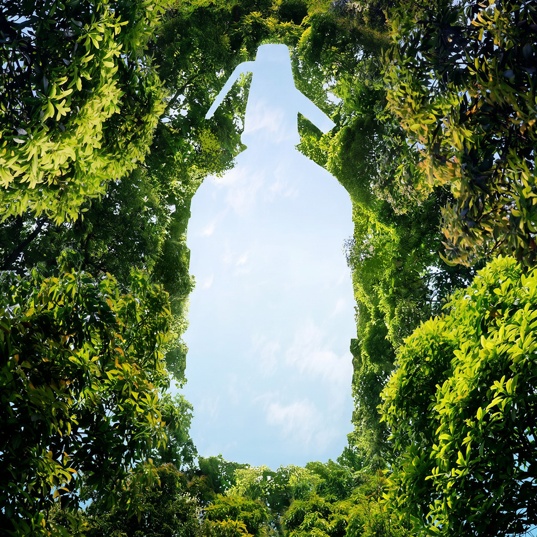 Semana do Meio Ambiente: conheça as ações sustentáveis da Acquamix para preservar o futuro